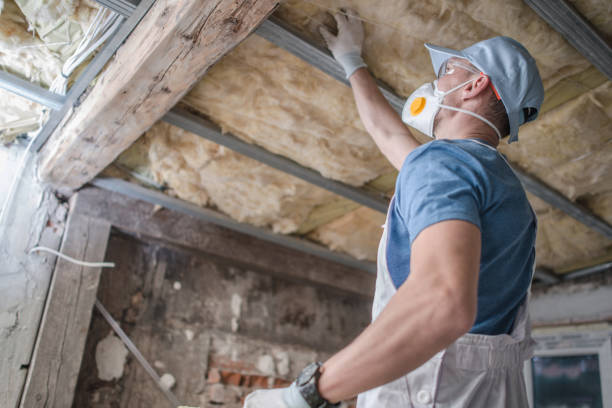 Best Energy-efficient Insulation  in Boulder Hl, IL