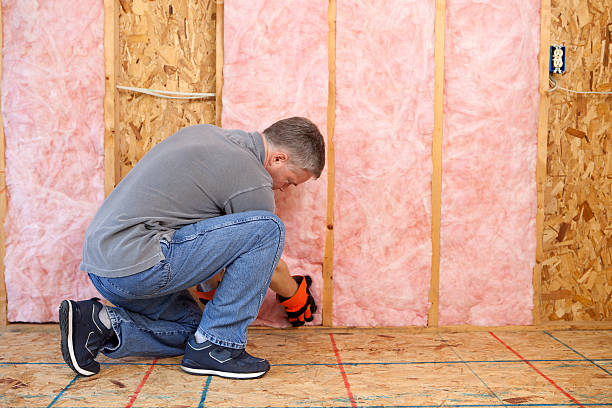 Best Commercial Insulation Contractor  in Boulder Hl, IL